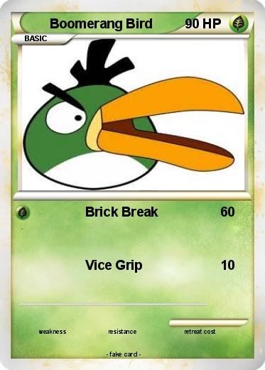 Pokemon Boomerang Bird