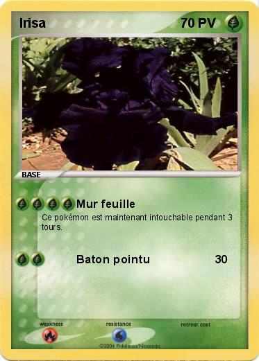 Pokemon Irisa