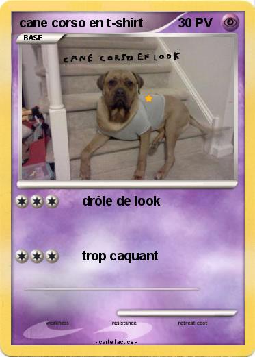 Pokemon cane corso en t-shirt