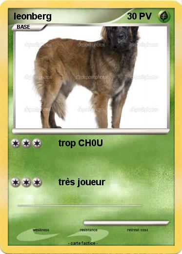 Pokemon leonberg