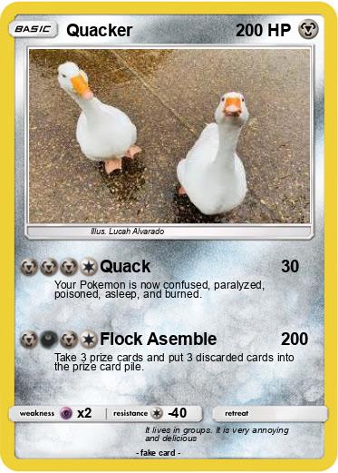 Pokemon Quacker