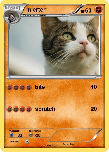 Pokemon mierter