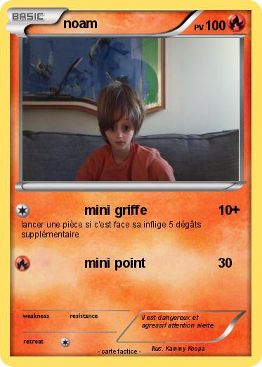 Pokemon noam