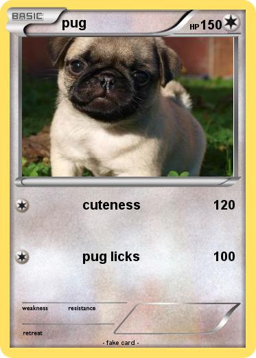 Pokemon pug
