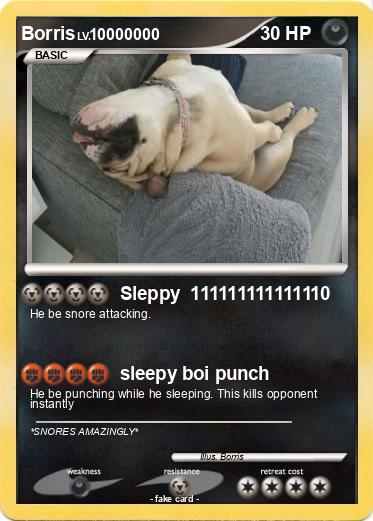Pokemon Borris