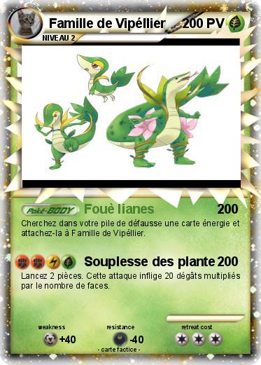 Pokemon Famille de Vipéllier