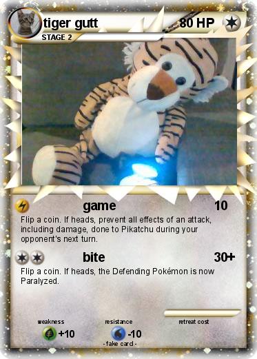 Pokemon tiger gutt