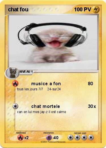 Pokemon chat fou
