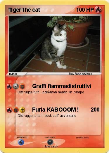 Pokemon Tiger the cat