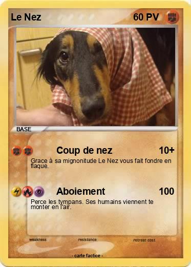 Pokemon Le Nez