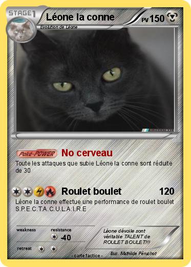 Pokemon Léone la conne