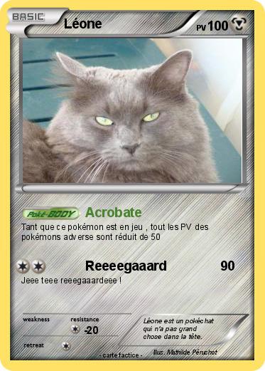 Pokemon Léone
