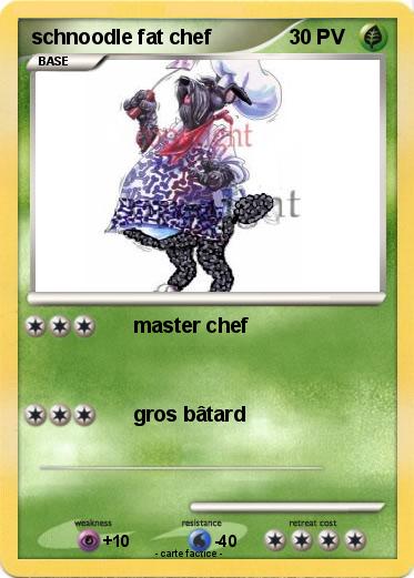 Pokemon schnoodle fat chef