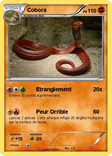 Pokemon Cobora
