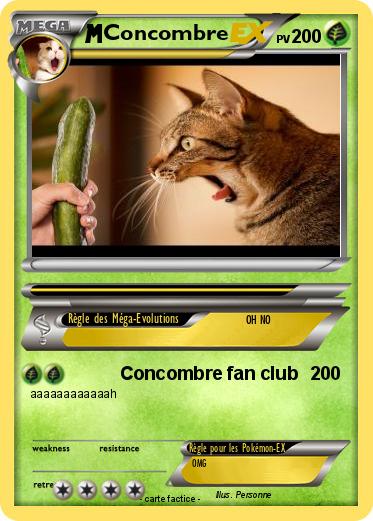 Pokemon Concombre