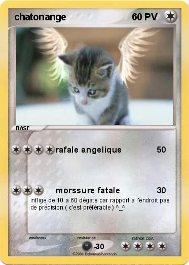 Pokemon chatonange