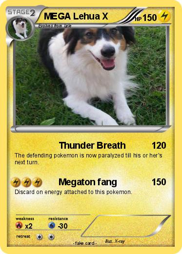 Pokemon MEGA Lehua X