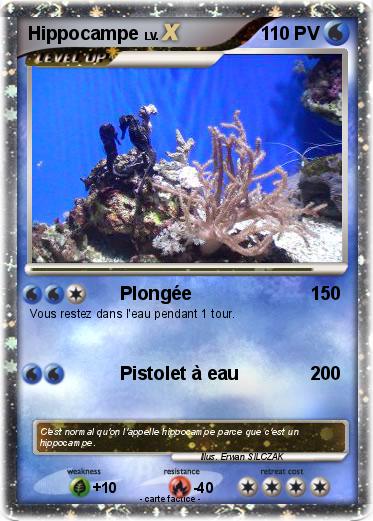 Pokemon Hippocampe