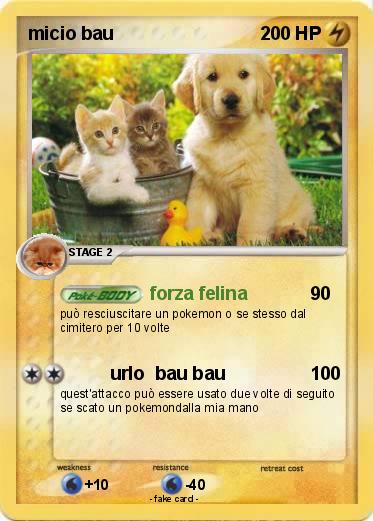 Pokemon micio bau
