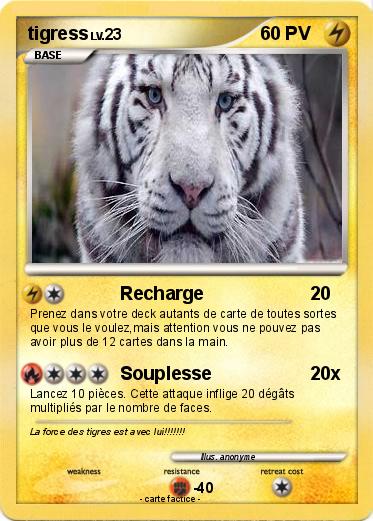 Pokemon tigress