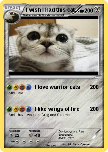 Pokemon I wish I had this cat...