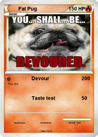 Pokemon Fat Pug
