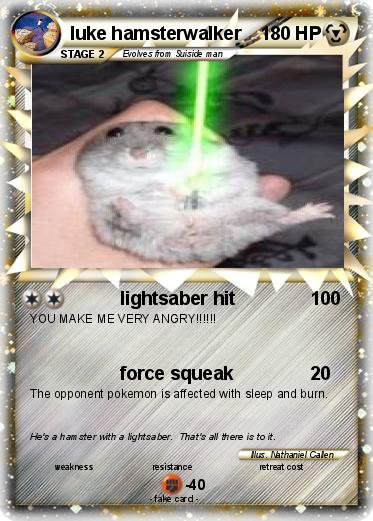 Pokemon luke hamsterwalker