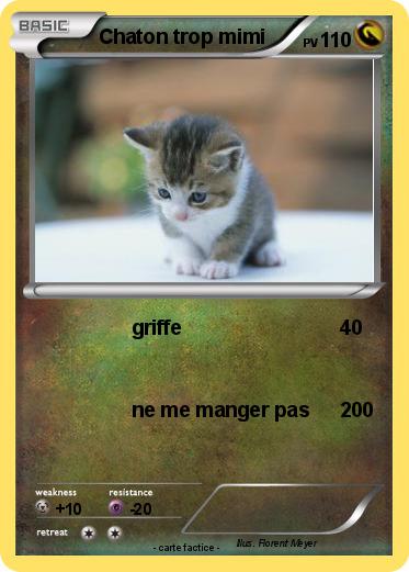 Pokemon Chaton trop mimi