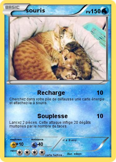 Pokemon souris