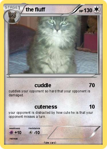Pokemon the fluff
