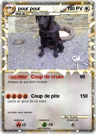 Pokemon pour pour