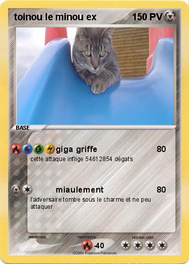 Pokemon toinou le minou ex