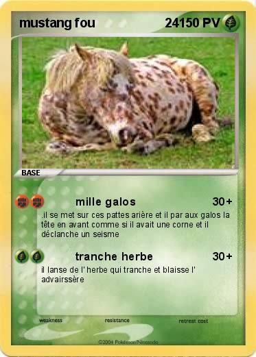 Pokemon mustang fou                    24