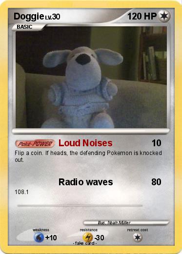 Pokemon Doggie