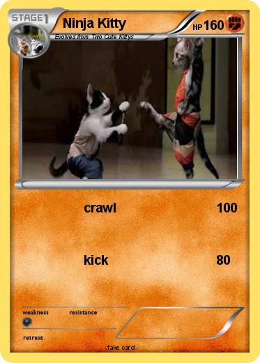 Pokemon Ninja Kitty