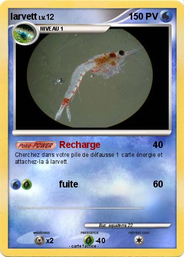 Pokemon larvett