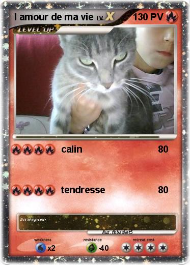 Pokemon l amour de ma vie