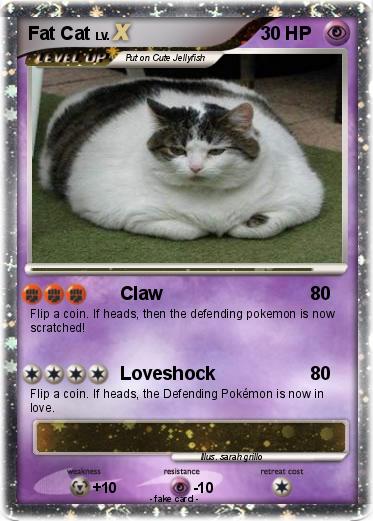 Pokemon Fat Cat