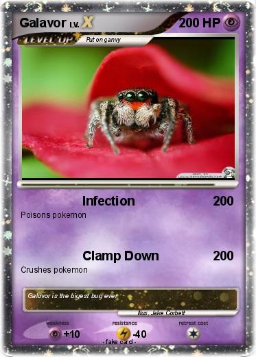 Pokemon Galavor