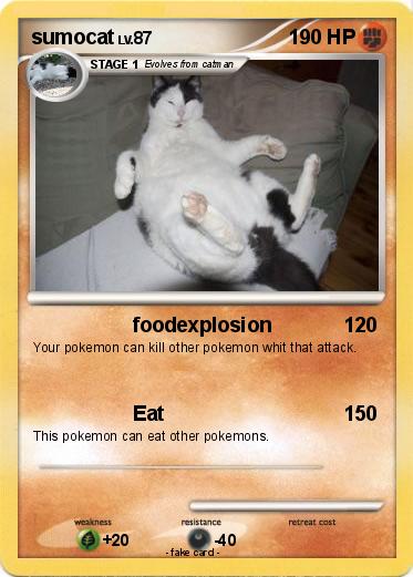 Pokemon sumocat