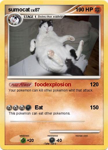 Pokemon sumocat