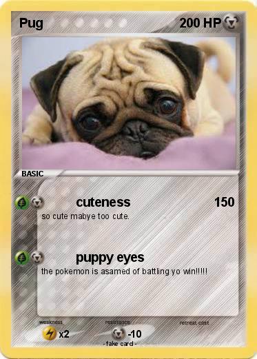 Pokemon Pug