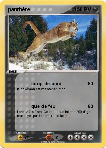 Pokemon panthère