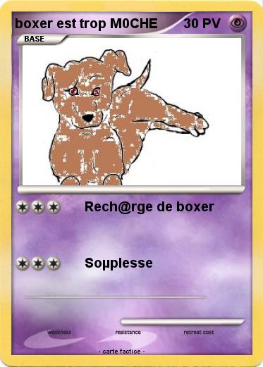 Pokemon boxer est trop M0CHE