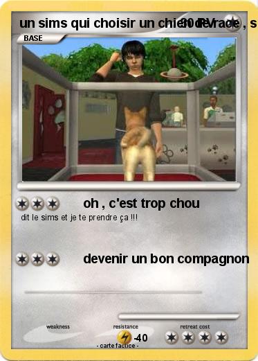 Pokemon un sims qui choisir un chien de race , sims 3
