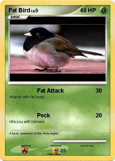 Pokemon Fat Bird