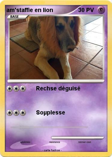 Pokemon am'staffie en lion