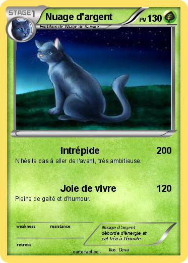Pokemon Nuage d'argent