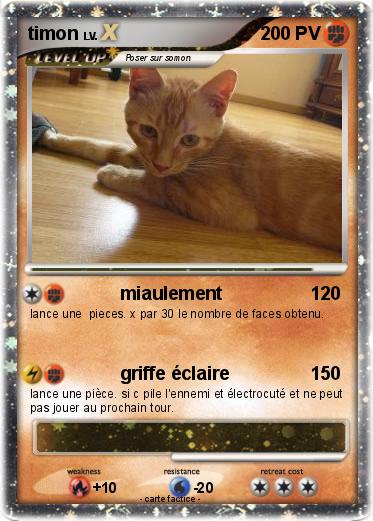 Pokemon timon