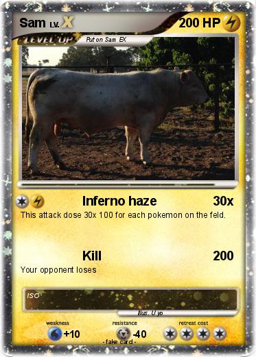 Pokemon Sam